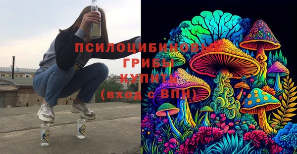 PSILOCYBIN Аркадак