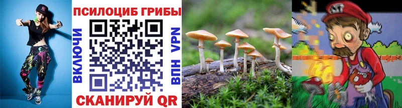 Галлюциногенные грибы MAGIC MUSHROOMS  МЕГА   Кубинка 